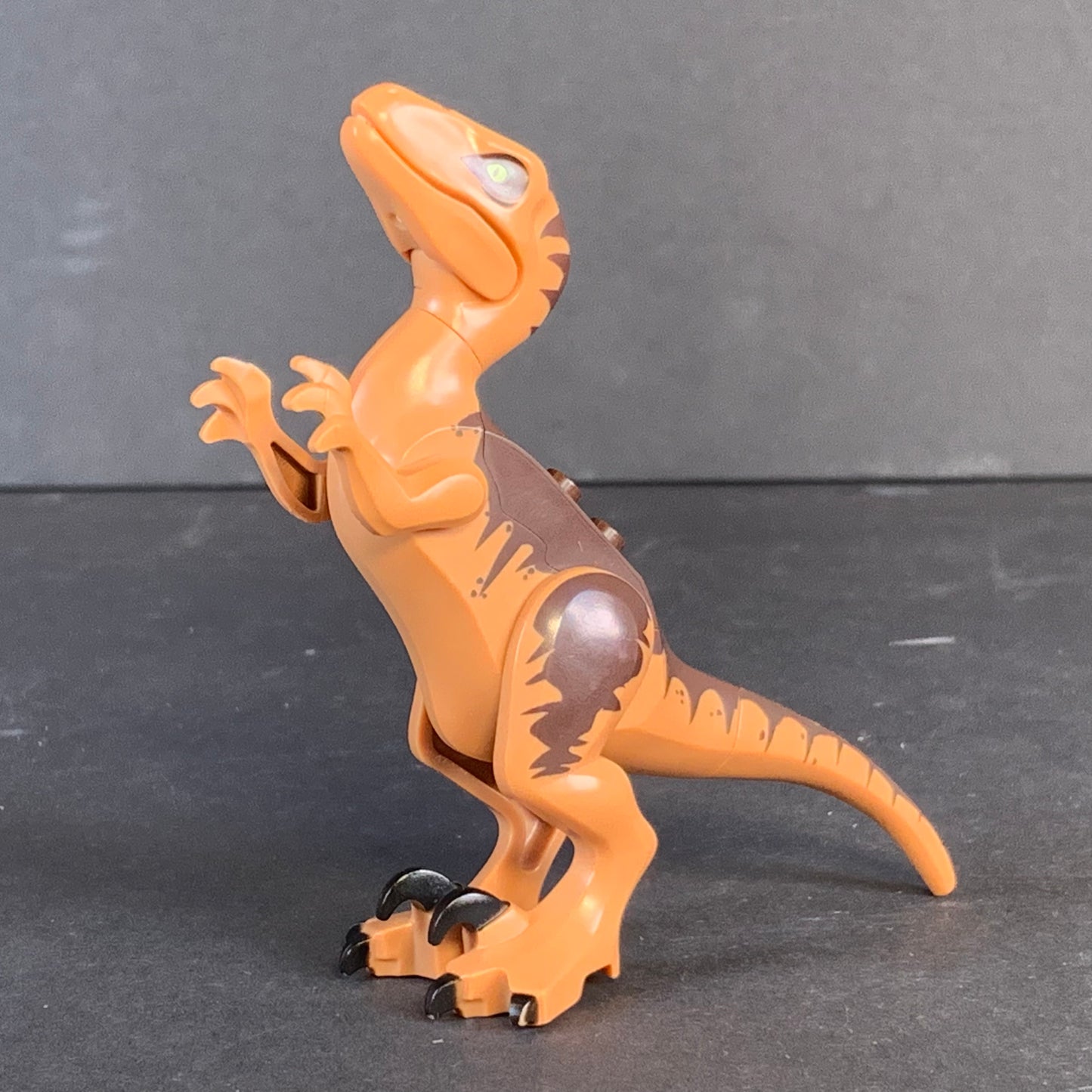 Lego Dinosaur Raptor / Velociraptor with Dark Brown Back