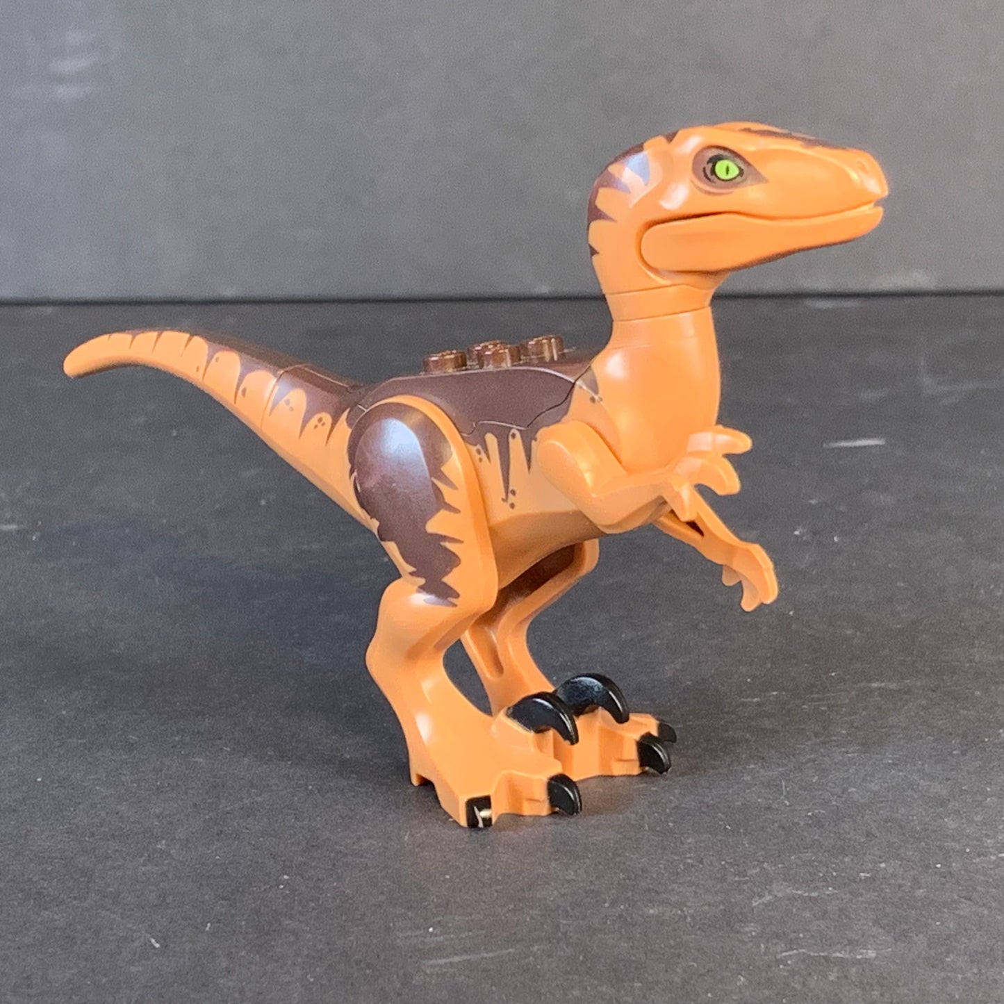 Lego Dinosaur Raptor / Velociraptor with Dark Brown Back