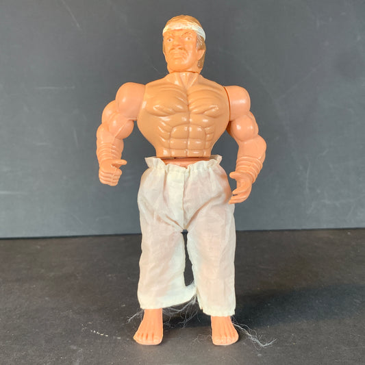 Ninja and His Combat Master Ninja