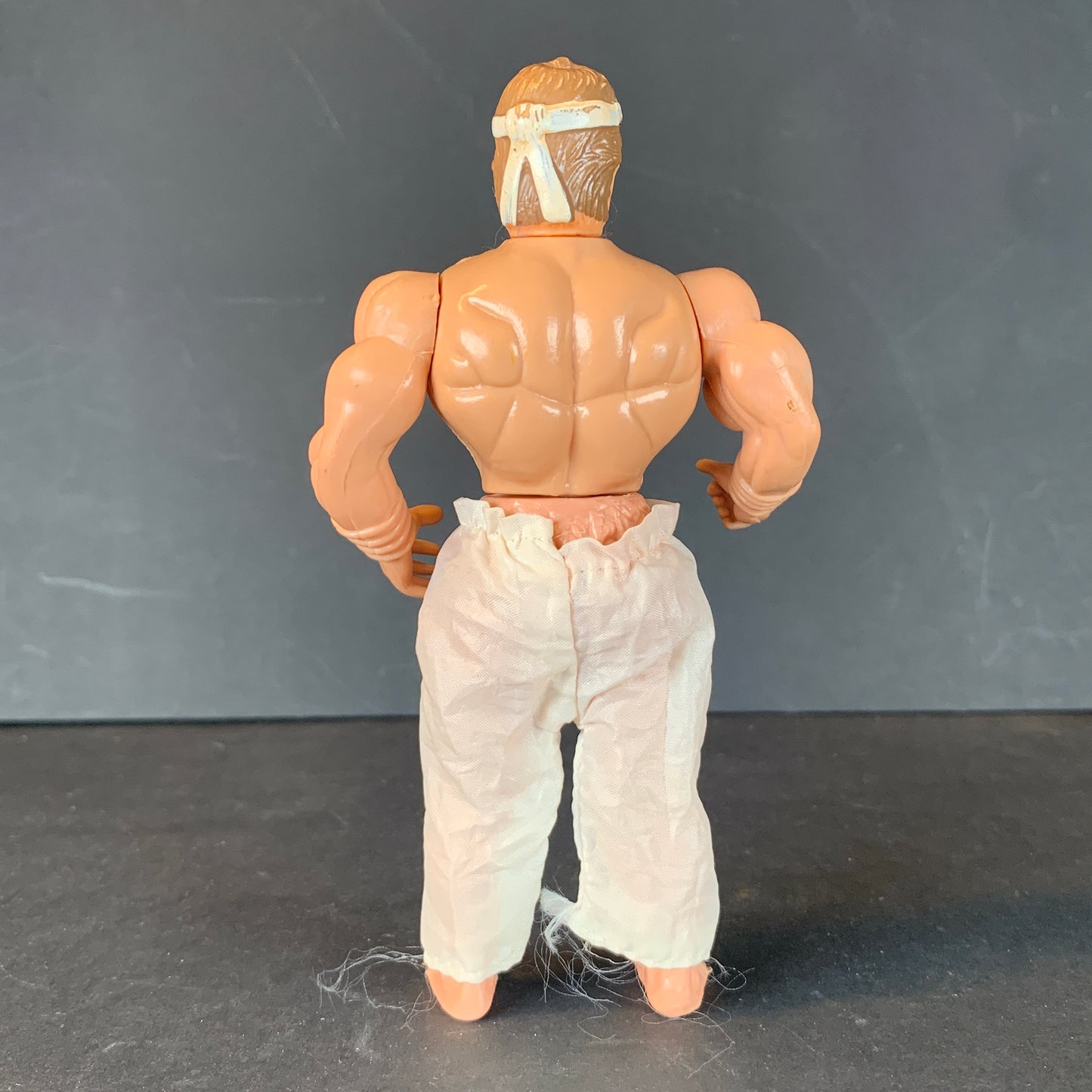 Ninja and His Combat Master Ninja