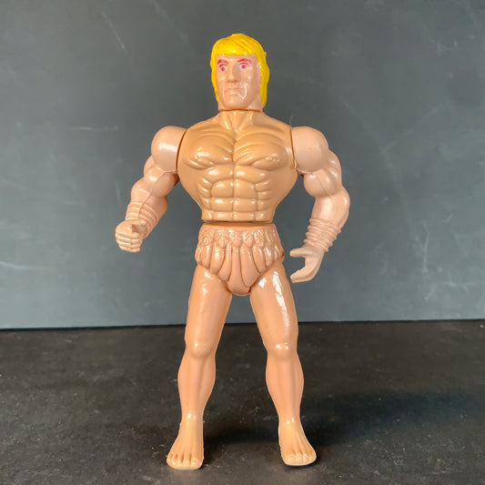 Ninja and His Combat Master Ninja