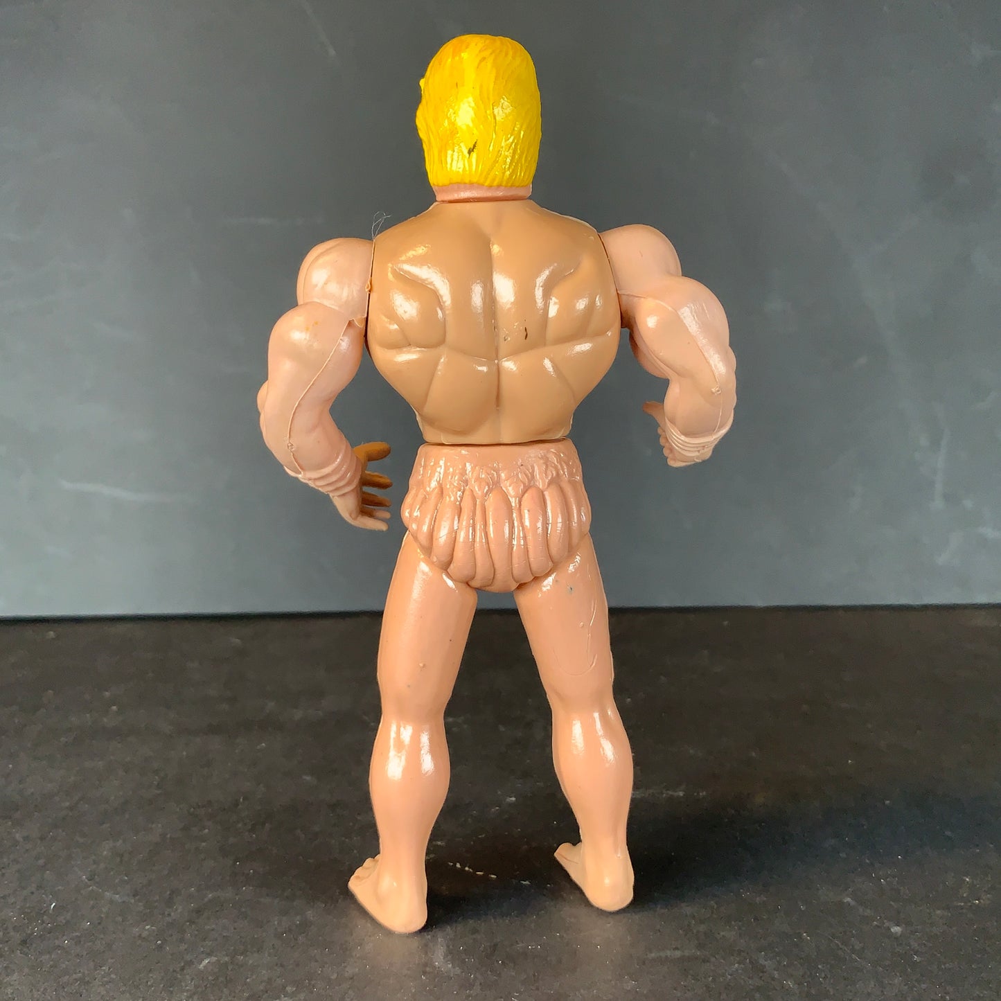 Ninja and His Combat Master Ninja